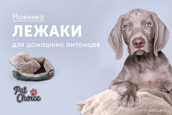 Мягкие и уютные лежаки для домашних питомцев
