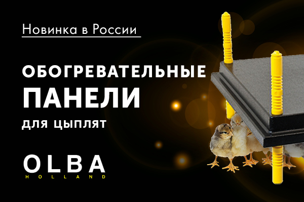 Новинка в России - обогревательные панели для цыплят Новинка в России - обогревательные панели для цыплят