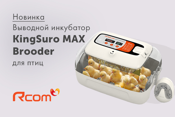 Новый выводной инкубатор Rcom KingSuro MAX Brooder Новый выводной инкубатор Rcom KingSuro MAX Brooder