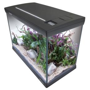 Аквариум Newa Mirabello MIR 70D Daylight LEDS, 70 л, с фильтром, нагревателем и освещением рассвет-закат, серый NEW VERSION
