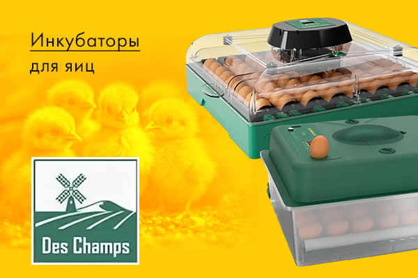 Новая линейка инкубаторов Des Champs Новая линейка инкубаторов Des Champs