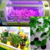 Гидропонная установка Rfarm 850 MAX