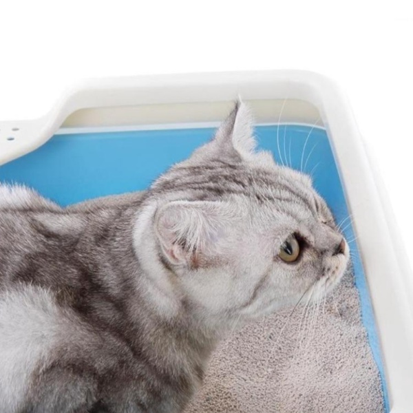 Лоток для кошек Catidea 44х44х14,5 см с совком, кремовый