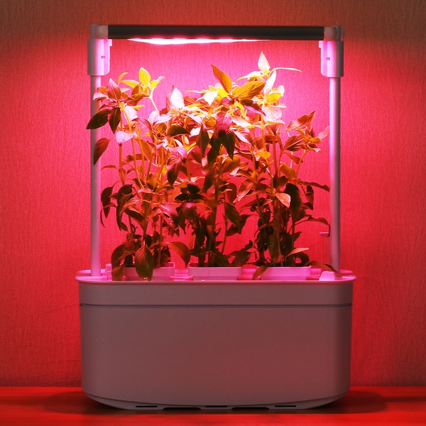 Гидропонная установка HobbyFarm Mini DQ6200-LA, домашний умный смарт сад, 3 ячейки, с фитолампой